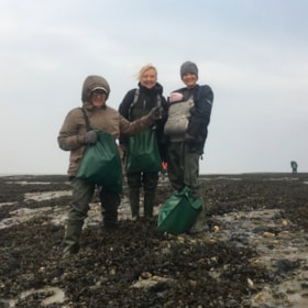 Saml østers på vaden og nyd dem til frokost på Vingården