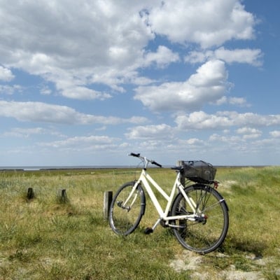 Bike rental - Mandø