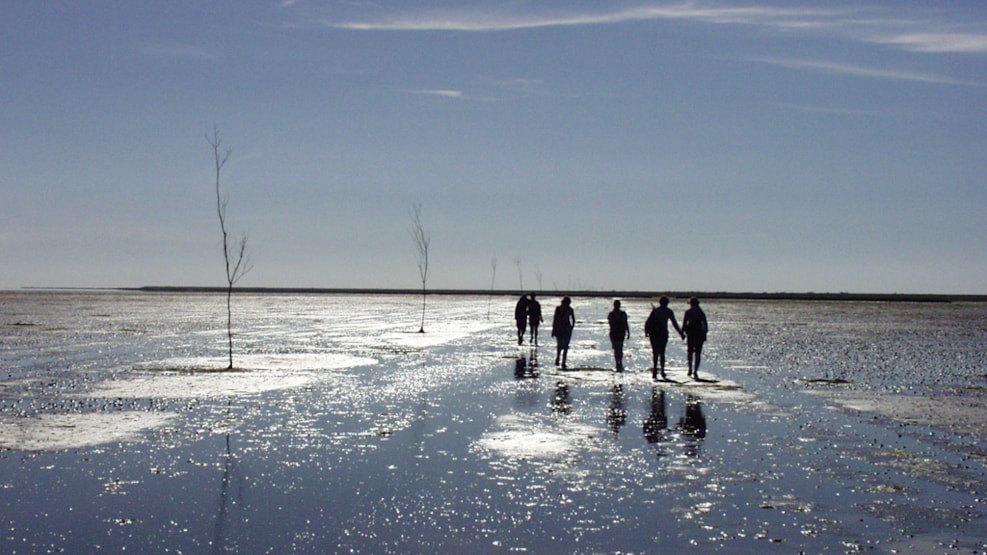 Wadden Sea National Park