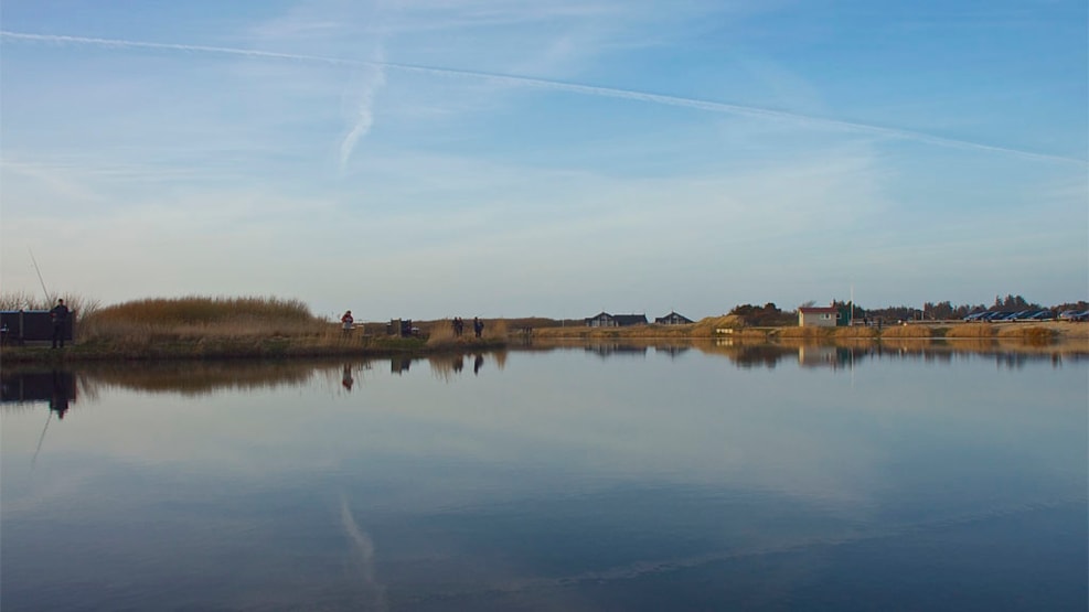 Lodbjerg Hede Trout lake