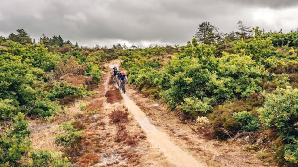 Mountain Bike Trail in Blåbjerg Plantation