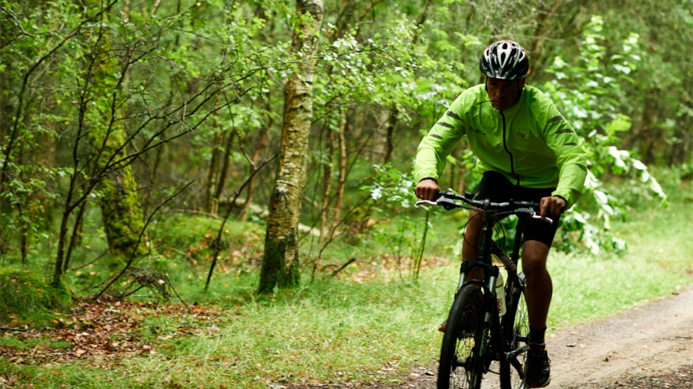 The Mountain Bike Trail in Femhøjsande Plantage