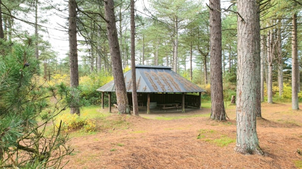 Kleiner primitiver Campingplatz in der Ho Klitplantage