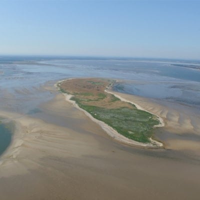 Skallingen and Langli - the most northern island in the Wadden Sea