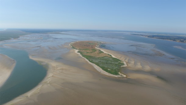 Skallingen and Langli - the most northern island in the Wadden Sea