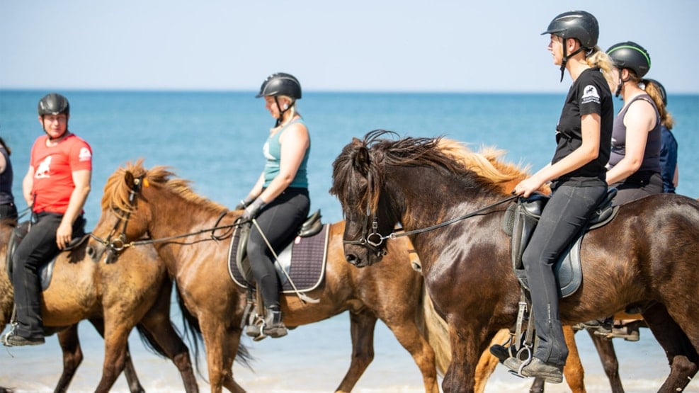 Nymindegab Riding Centre