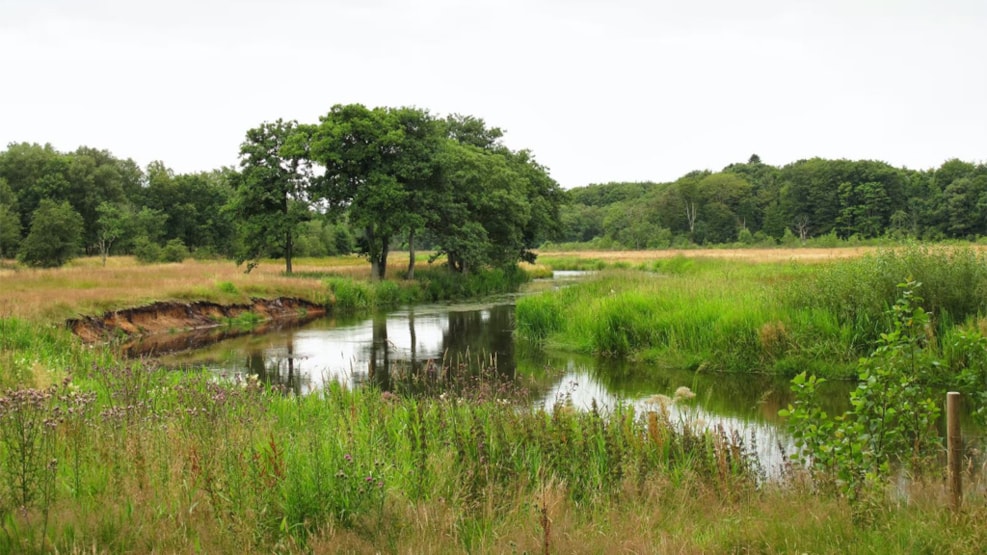 The area by Nørholm