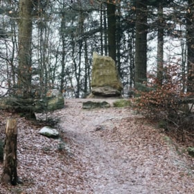 The History Path around Ølgod Byskov