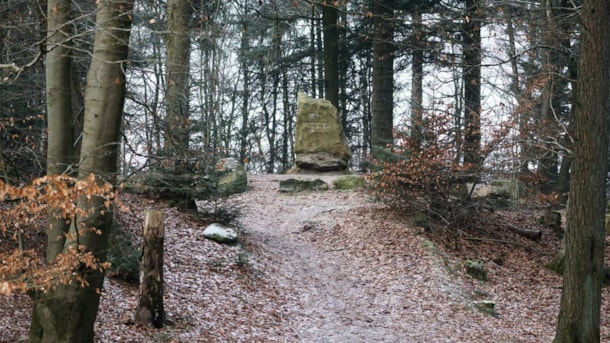 The History Path around Ølgod Byskov