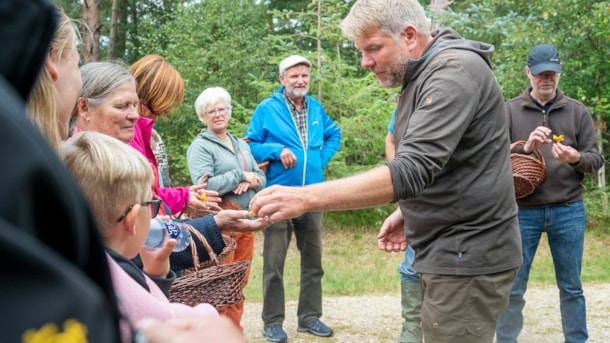[DELETED] Kostenlose Pilztouren in Houstrup mit Naturführer