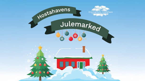 Christmas market Enemærkets Hostahave