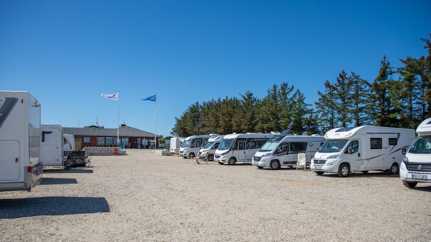 Stellplatz Søndervig