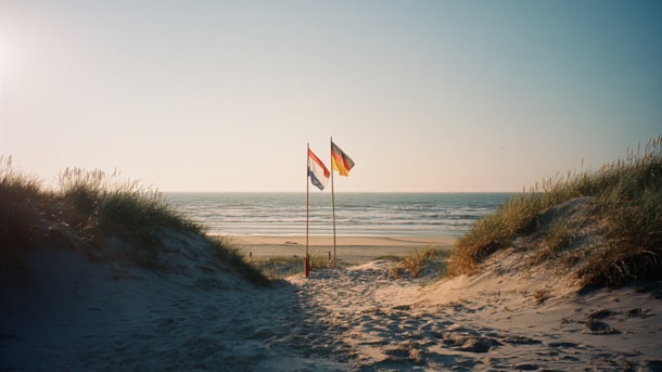 Vesterhavsviden: International markedsføring og retargeting (rykket fra 24. oktober --> 30. oktober)