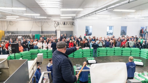 Fiskeauktion for alle i Hvide Sande