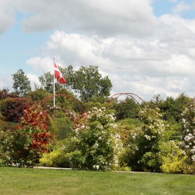 Laubjergs Rosenhave