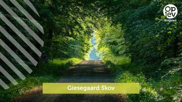 Giesegaard Skov