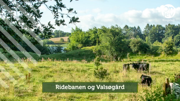Ridebanen - Valsøgård/Nygård