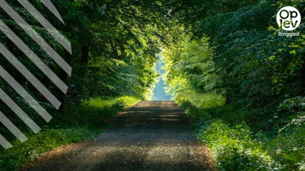 Giesegaard Wood
