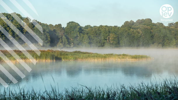 The Lake at Haraldsted - Blue Flag Beach