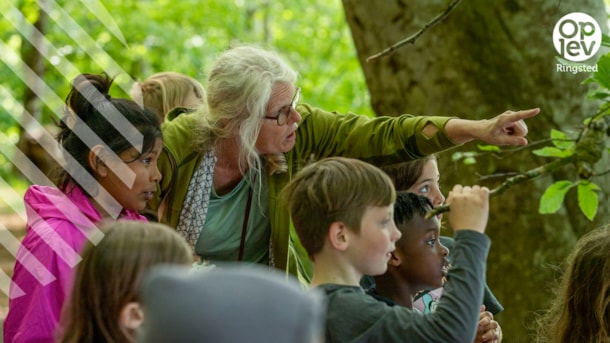 Find Skovlingerne i Vrangeskov