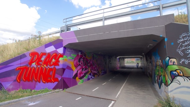 Tunnel v/Ringstedet