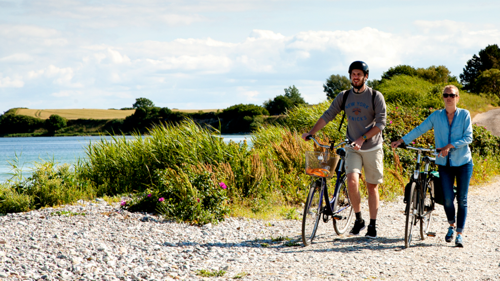 Culture and Nature from a Bicycle Saddle