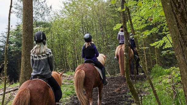 [DELETED] Fuglsang Horseback Riding