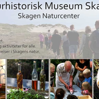 Naturhistorisk Museum - Skagen Naturcenter(Nature History Museum)