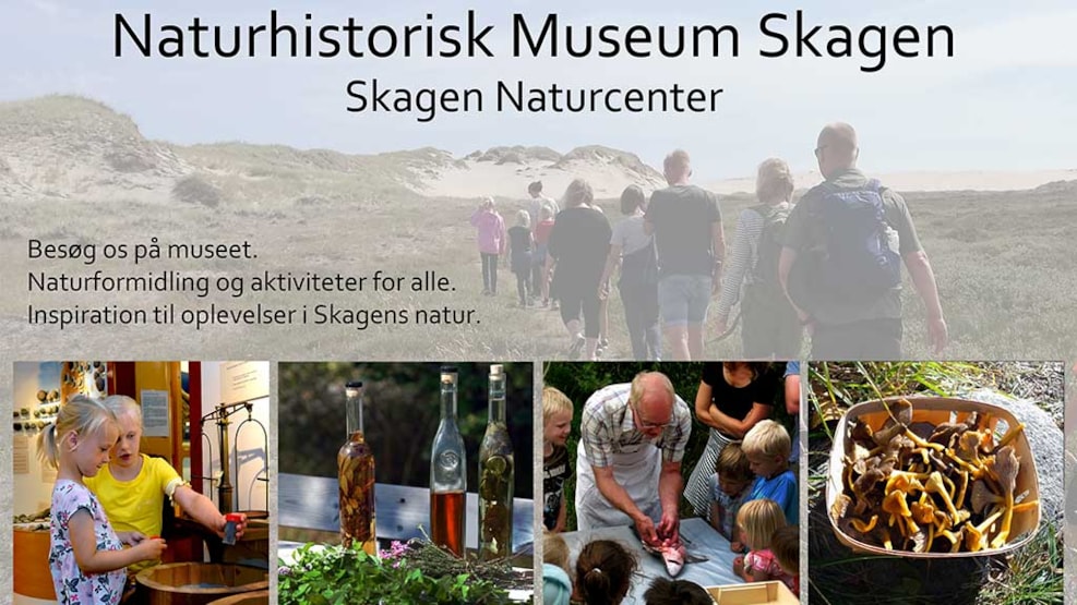 Naturhistorisk Museum - Skagen Naturcenter(Nature History Museum)