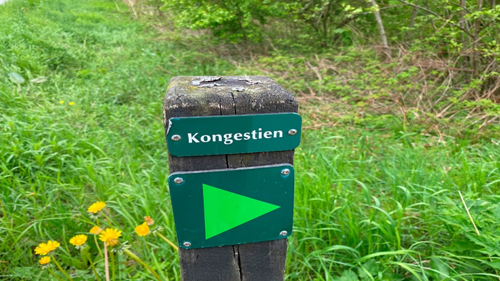 Kongestien 8 Km trail