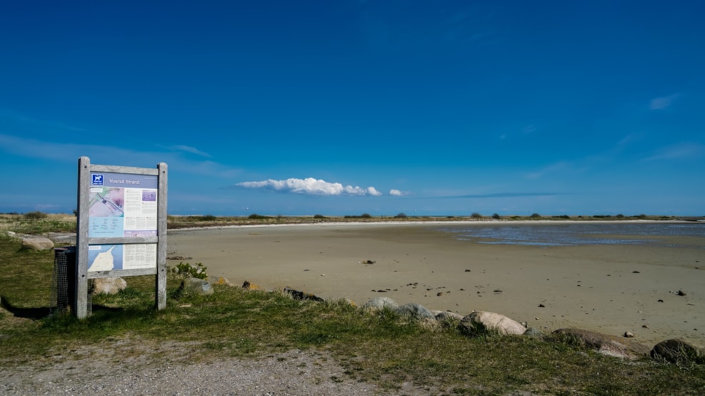 Fuglereservat - Stensnæs - Lyngså