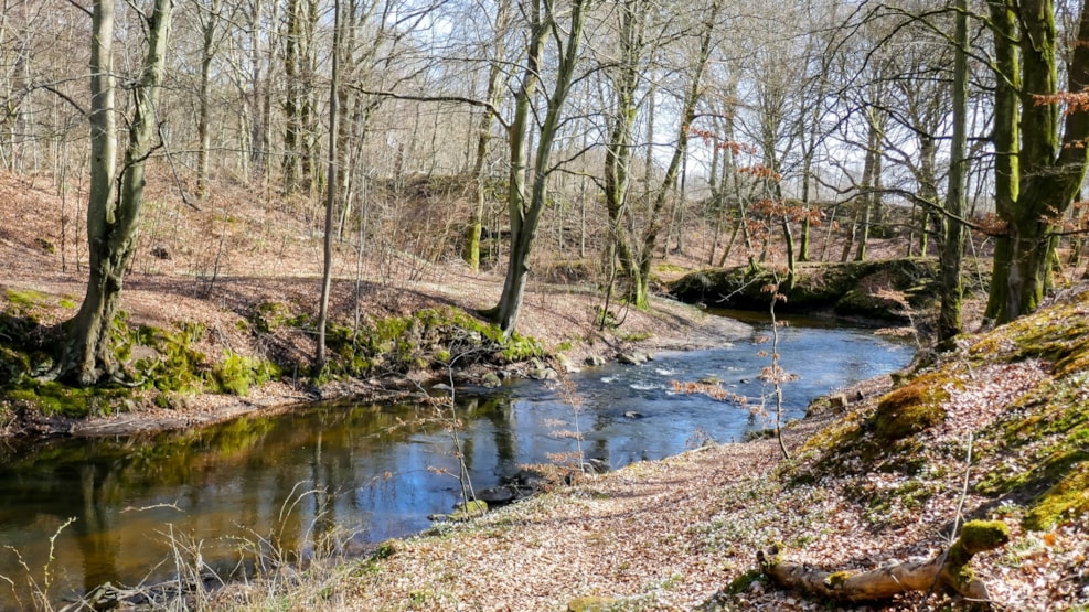 Nymølle Bæk - Østervrå