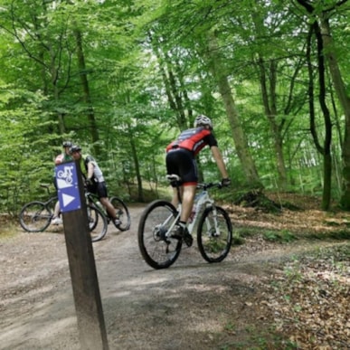 MTB: Sæbygaard Forest in Sæby - 5,1 km