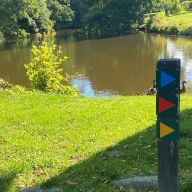 Wandern: Dyrehaven, Frederikshavn, Gelbe Pfad - 2,4 km