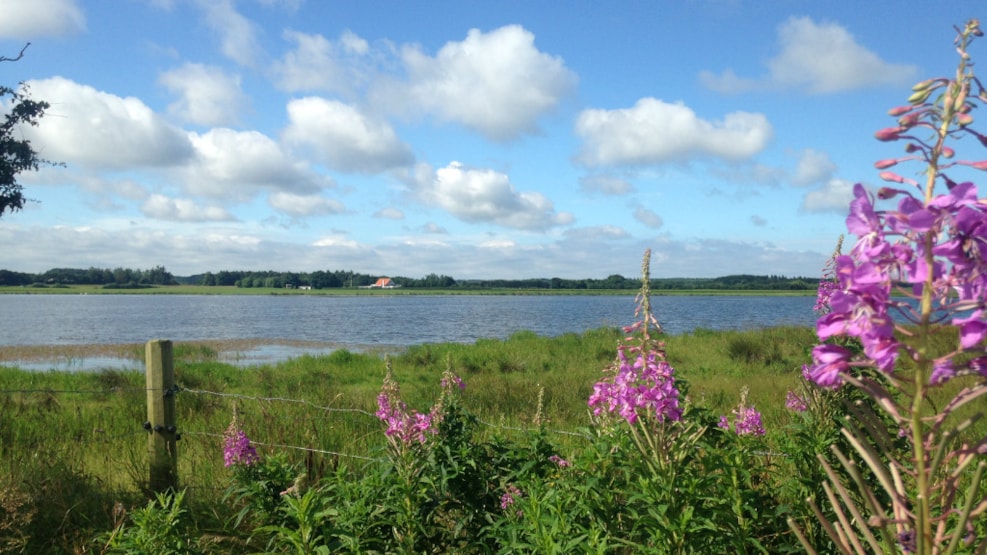 Hvidbjerg Plantage - Rettrupkær Sø