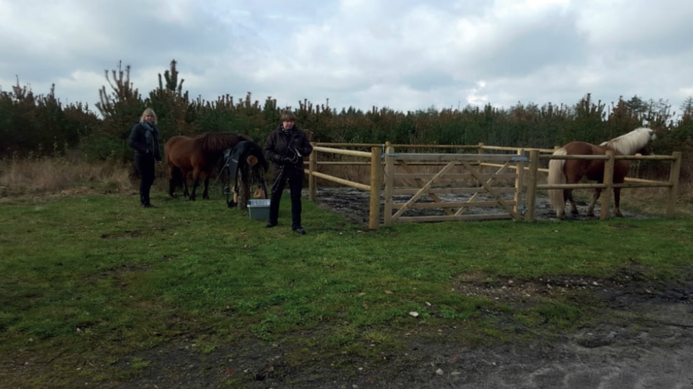 Horse riding routes in Gl. Rønbjerg - 8,5 km