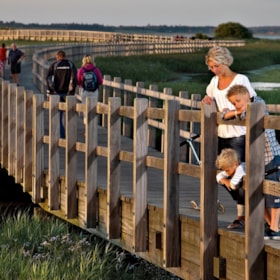 Danmarks længste træbro