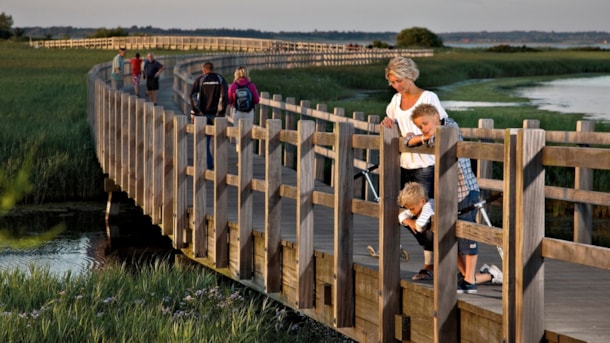 Die längste Holzbrücke Dänemarks
