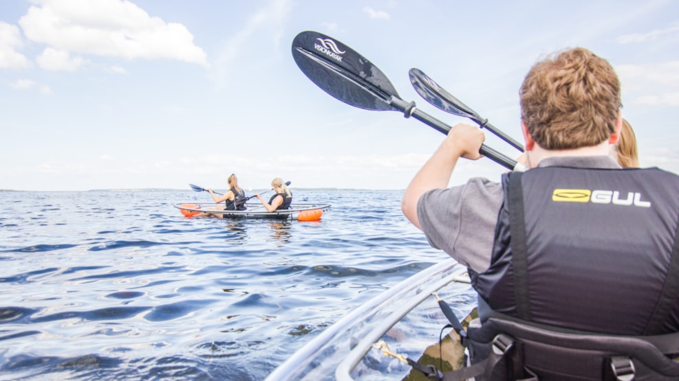 Tours in glass kayaks on the Limfjord