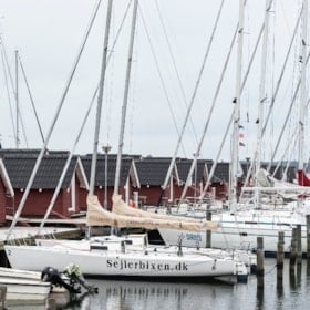 Venø Hafen