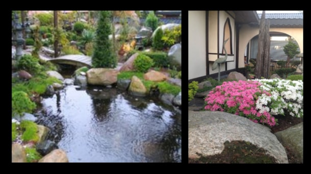 Den Japanske Have i Struer - Lokale Fortællinger