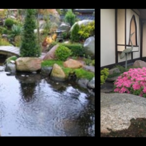 Den Japanske Have i Struer - Lokal fortælling 2022
