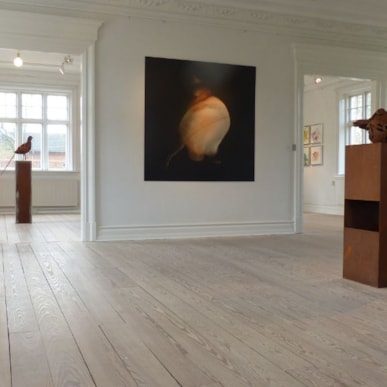 Gimsinghoved Kunst- og Kulturcenter - Struer