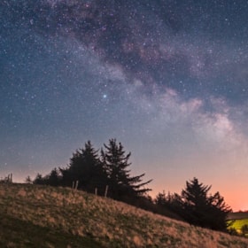 Stjernespot - Hanklit