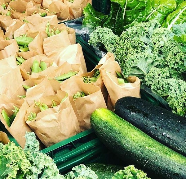 GrønThy - A sustainable vegetable farm