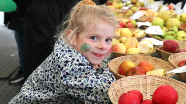 Æblefestival i Rødding