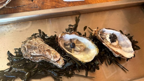 Limfjordens Østersbar - Danish Oyster bar