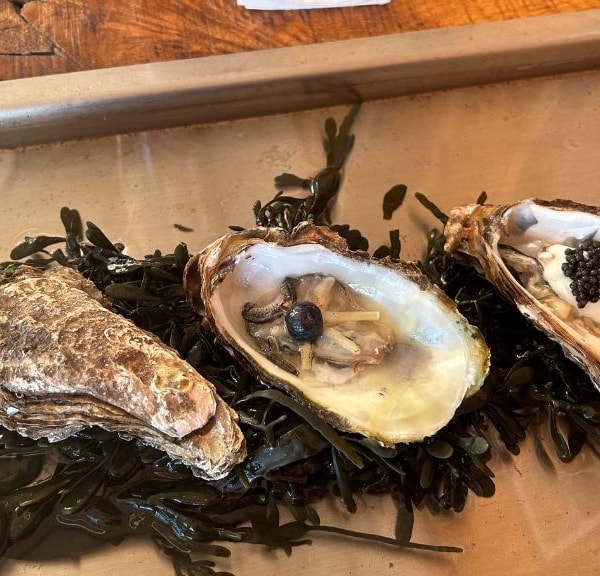  Danish Oyster Bar - Glyngøre Shellfish