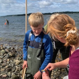 biology at the beach