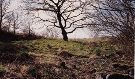 Frue Kirke - church ruin